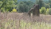 PICTURES/Old Fort Rucker/t_Commissary Ruins6.JPG